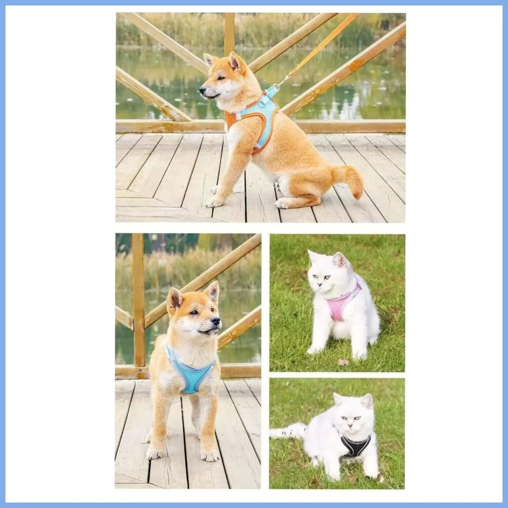 👣4/$20.  Blue Dog Harness and Leash Set. 2XS. NWT